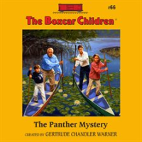 The_Panther_Mystery
